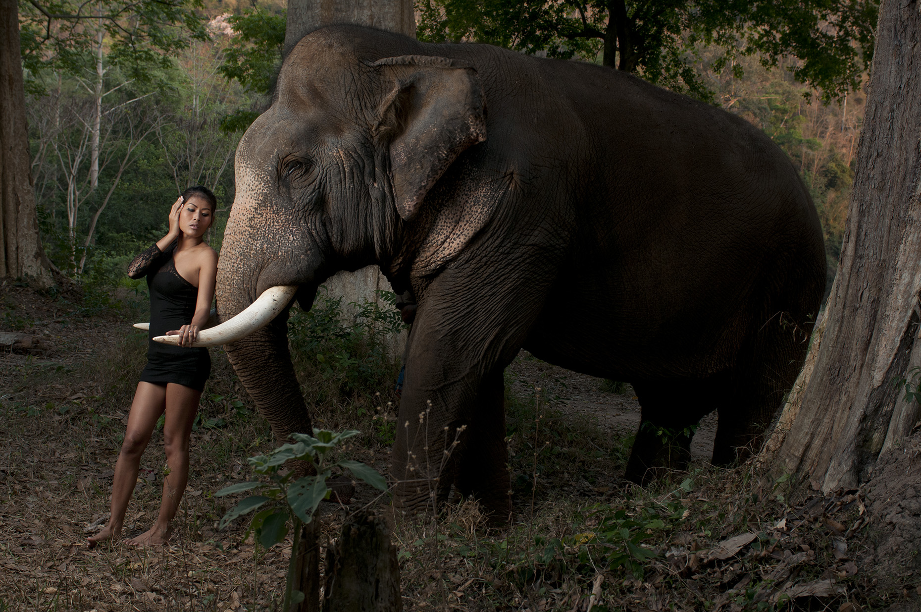Nang and Elephant